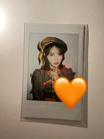 진세이 스즈카 폴라로이드