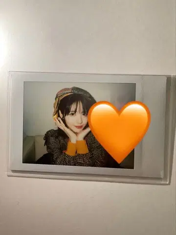 진세이 스즈카 폴라로이드