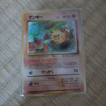 몽키_ [포켓몬 카드가 된 이유 1권] 덤 카드