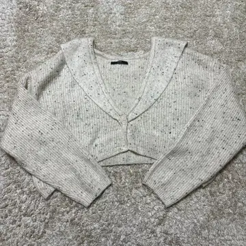 Kastane 카라 부착 크롭 가디건 베이지