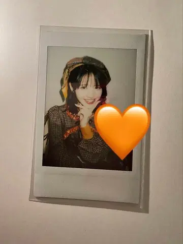 진세이 스즈카 폴라로이드