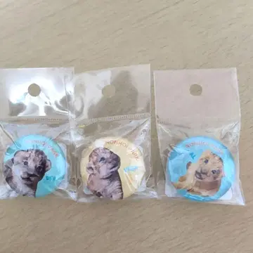 논호이 파크 사자 아기 3개 세트