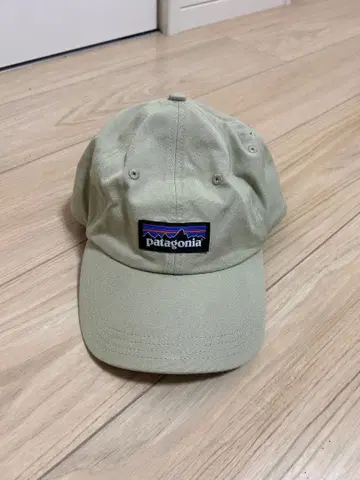 patagonia 베이지 캡