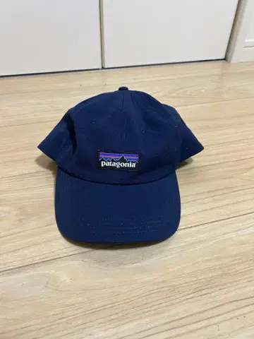 Patagonia 네이비 캡