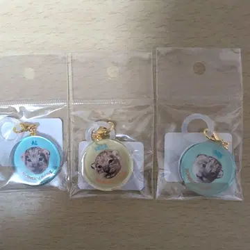 논호이 파크 사자 아기 덴.알.베가.멀티 참 3개 세트