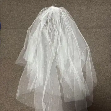 웨딩 베일