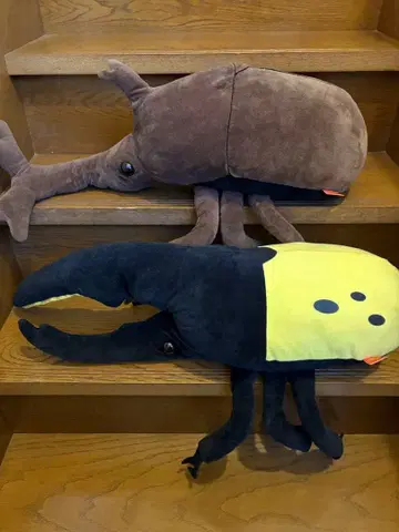 헤라클레스 장수풍뎅이 & 장수풍뎅이 봉제 인형