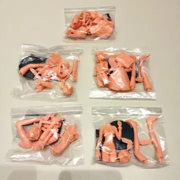 신세기 에반게리온 5인치 피규어 5종 미니북 포함