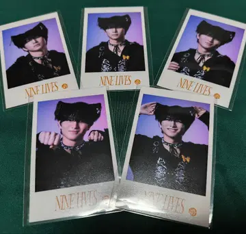 초특급 하루 카시와기 유우 NINE LIVES 미니 사진 하루 솔로 컴프