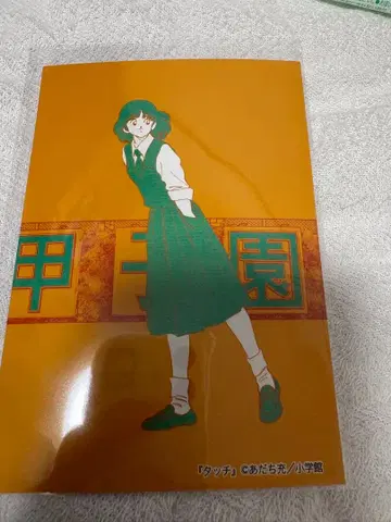 아사쿠라 미나 브로마이드 카레