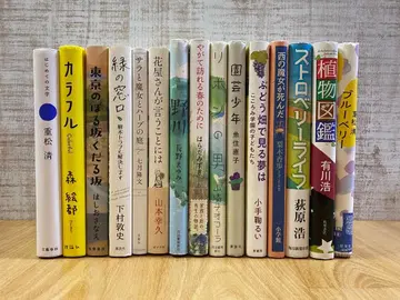 [ 소설 ] 단행본 묶음 판매 15권