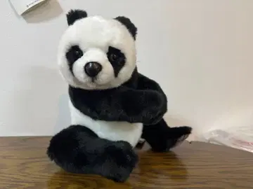 팬더 안고 있는 봉제 인형