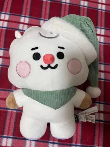 BT21 RJ