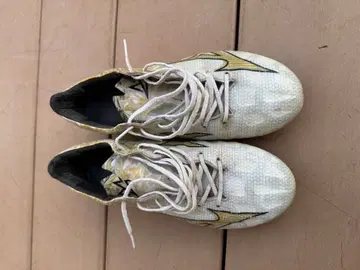 미즈노 알파 Japan