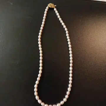 담수 펄 목걸이