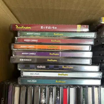 BabyKingdom 코도모드래곤 CD