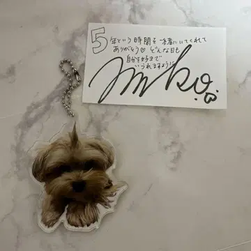 카와카미 모모코 씨 살롱 한정판 아크릴 키링 코지코지 살롱멘