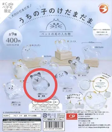 우리 아이의 케다마담 이누 한정판 모듬 블랙 시바