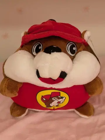 [ 미국 구매품 ] Buc-ee's ( 버키스 ) 봉제 인형
