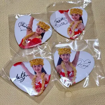 하와이안즈 플라걸 캔뱃지 59기 세트