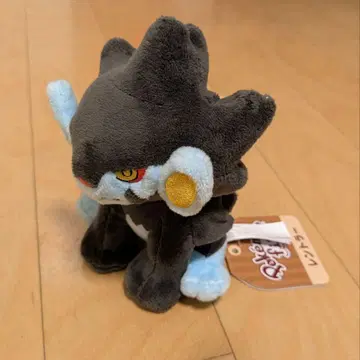 새상품 포켓몬 센터 오리지널 포켓몬 fit 렌트라