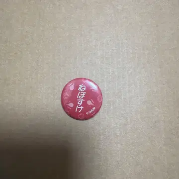 컬러풀 피치 유안군 특전 캔뱃지