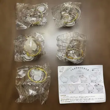 우리 아이 털뭉치 5세트