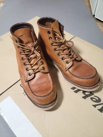 REDWING 875 US8E 2014년