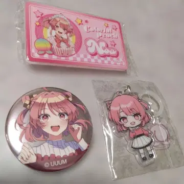 노아 씨 묶음 판매