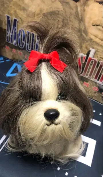 초레어 드레시 반려동물 시즌 강아지