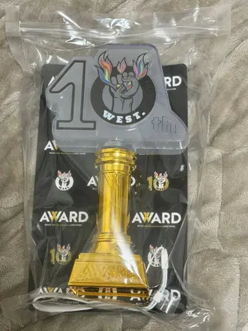 WEST. AWARD 응원봉