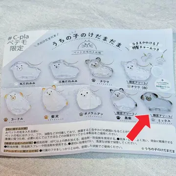 우리 아이 털뭉치 한정판 모듬 믹스 C-pla 페테모 한정판