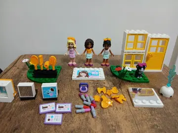 레고 블록 피규어