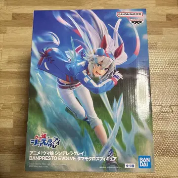 BANPRESTO EVOLVE 타마모 크로스 피규어