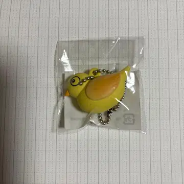 리제 헬에스타 세바스