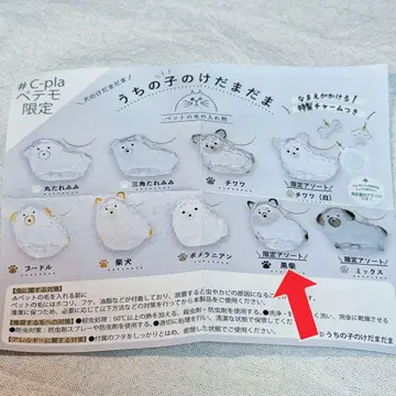 C-pla 페테모 한정판 우리 아이 털뭉치 블랙 시바