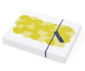 카미시라이시 모네 집합 박스 팬클럽 한정판