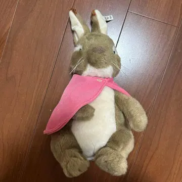 피터 래빗 (검침 완료)