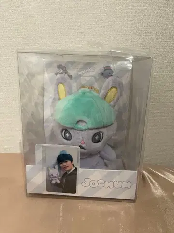 [ 미개봉 새상품 ] jochum 치마타 봉제 인형