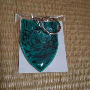 BUMP OF CHICKEN I 한정판 히로아카 특전 키링