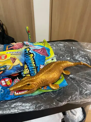 앤드코 &co 레어 모사사우루스 금