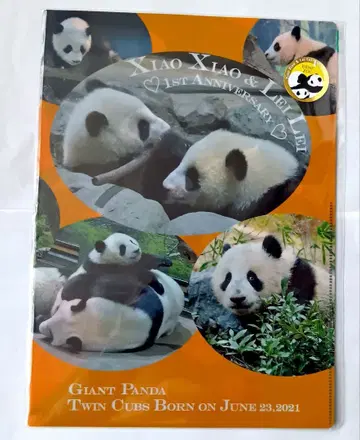 우에노 동물원 팬더 샤오샤오 레이레이 클리어 파일 그 9