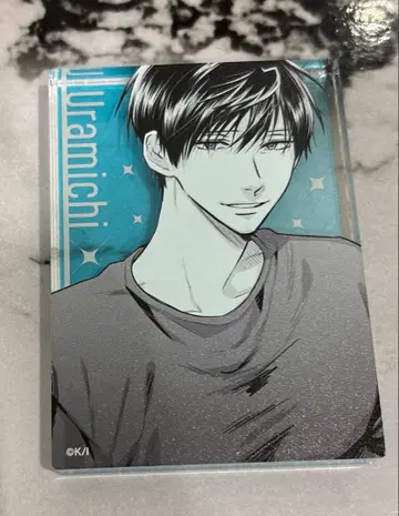 우라미치 오빠 효다 우라미치 아크릴 블록