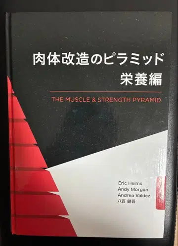 신체 개조의 피라미드 영양편