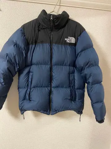 THE NORTH FACE 눕시 자켓