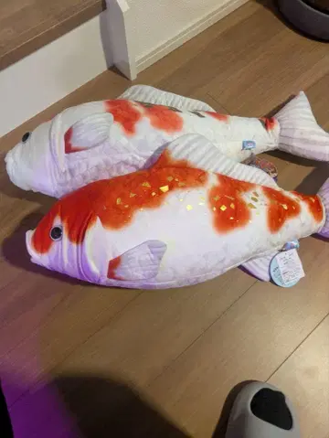 리얼 월드 잉어 봉제 인형 약 60cm 2개 세트