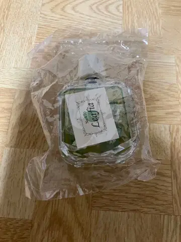 포켓몬 푸치플뢰르 PETITE FLEUR 리프피아