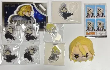 닥터스톤 100엔샵