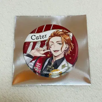 트위스테 오메카시 벌스데이 캔뱃지 케이트