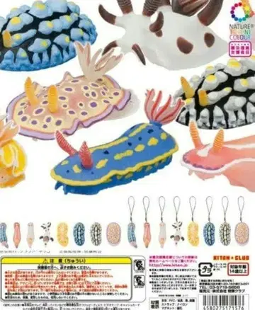 갯민숭달팽이 피규어 세트 총 8종